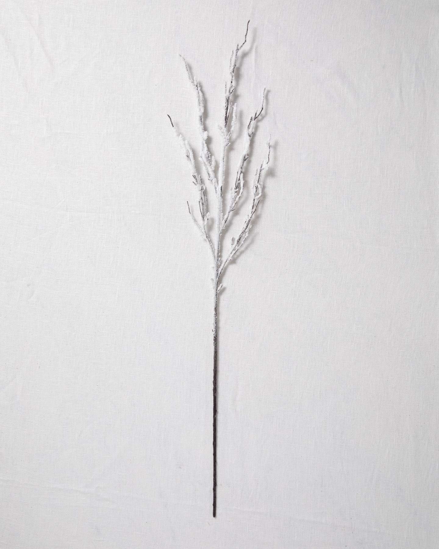 Balsam Hill Snowy Branch Artificial Christmas Tree Picks Set of 12 Close-Up