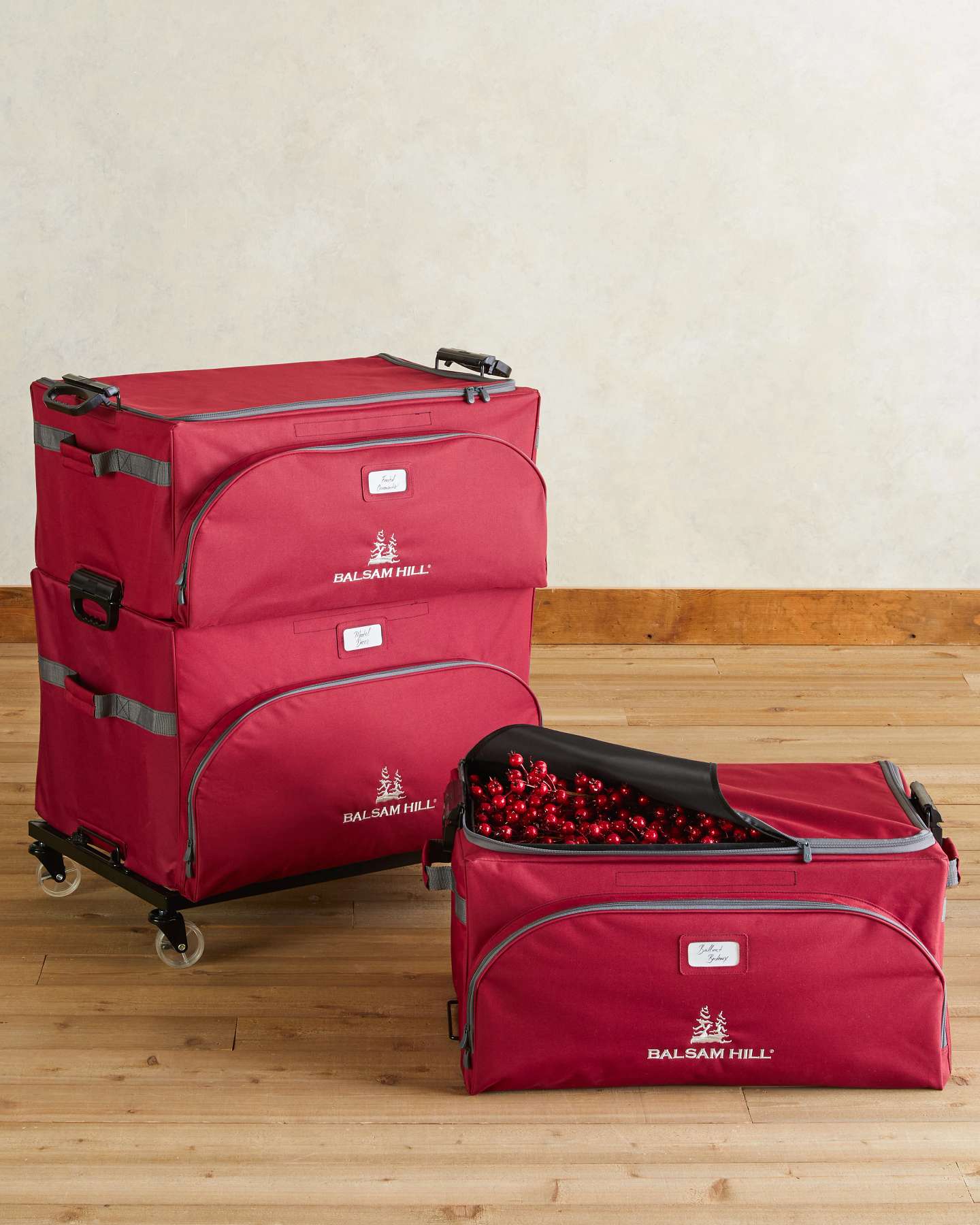 Balsam Hill Stack and Lock Storage System Set of 4 Showcasing Durable Construction