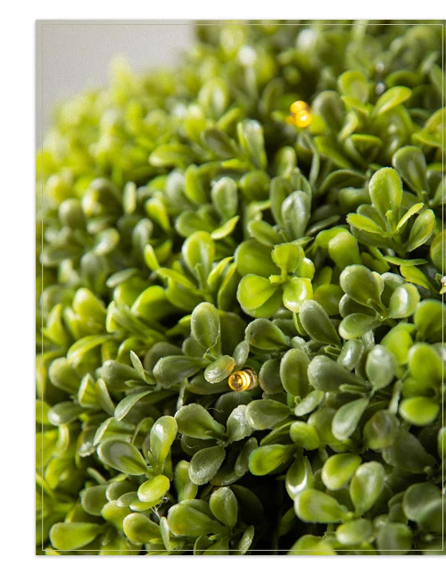 Outdoor Boxwood Artificial Cone Topiary | Balsam Hill