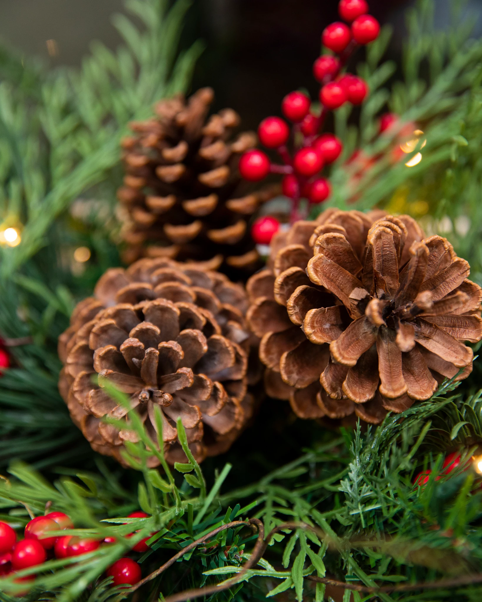 コットンとローゼルのクリスマススワッグガーランド　マグノリア　フレッシュ針葉樹 Outdoor Red Berry Pine Artificial Christmas Window Box | Balsam Hill