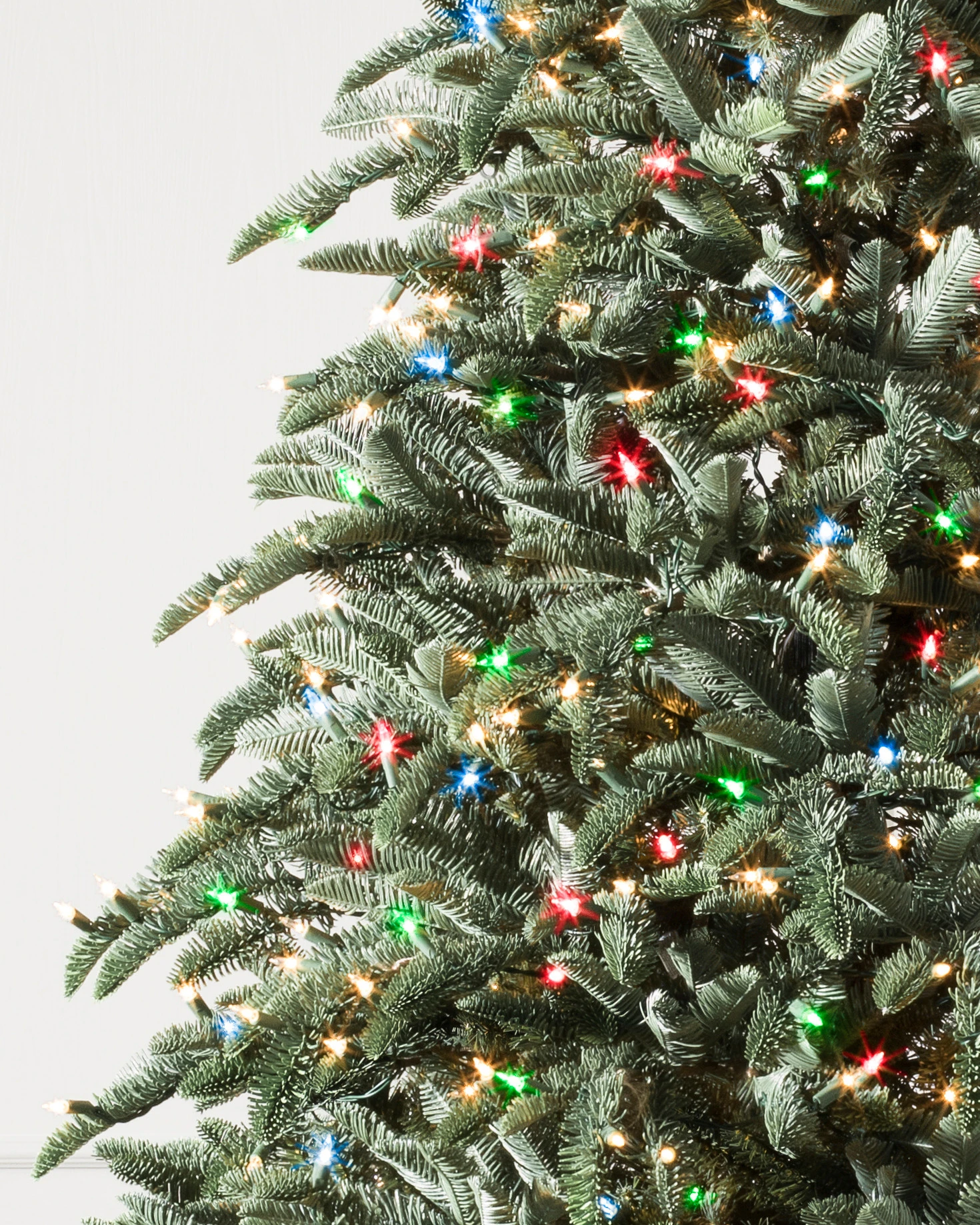 BH Noble Fir