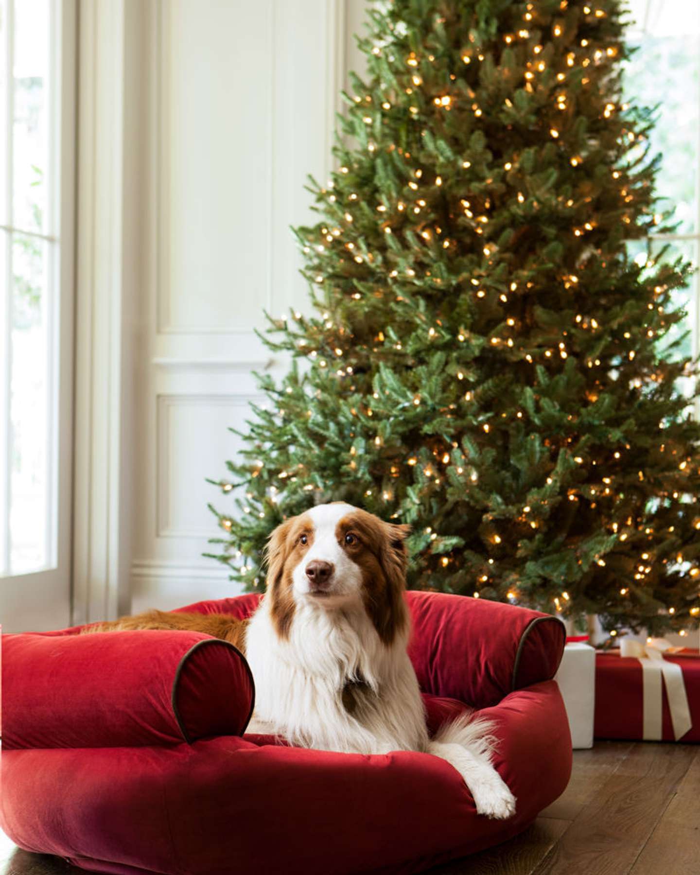 Balsam Hill BH Balsam Fir Christmas Tree Elegant Festive Home Setting