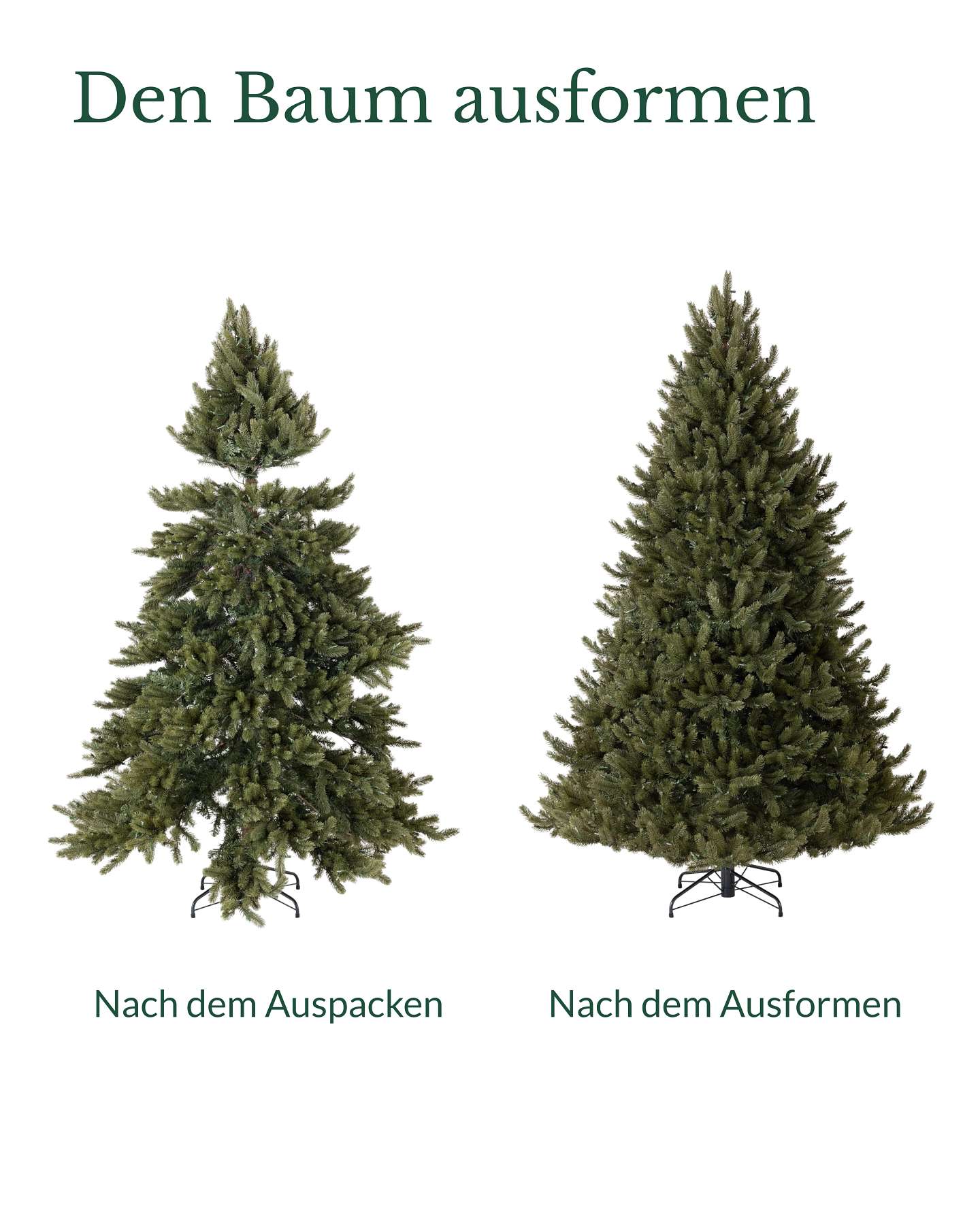 Vermont-Weißfichte