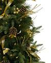 Coloma Golden Pine Potted Tree by Balsam Hill Closeup 10