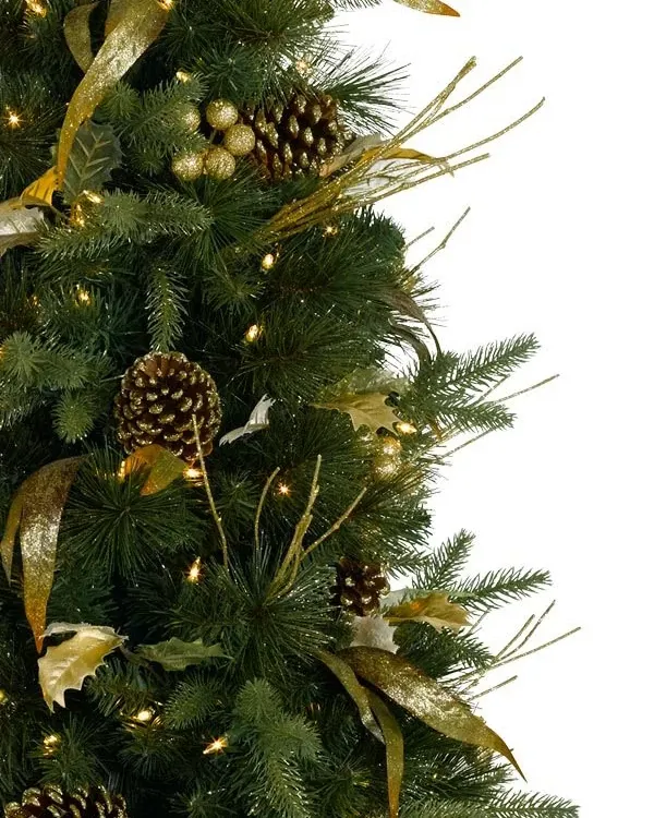 Coloma Golden Pine Potted Tree