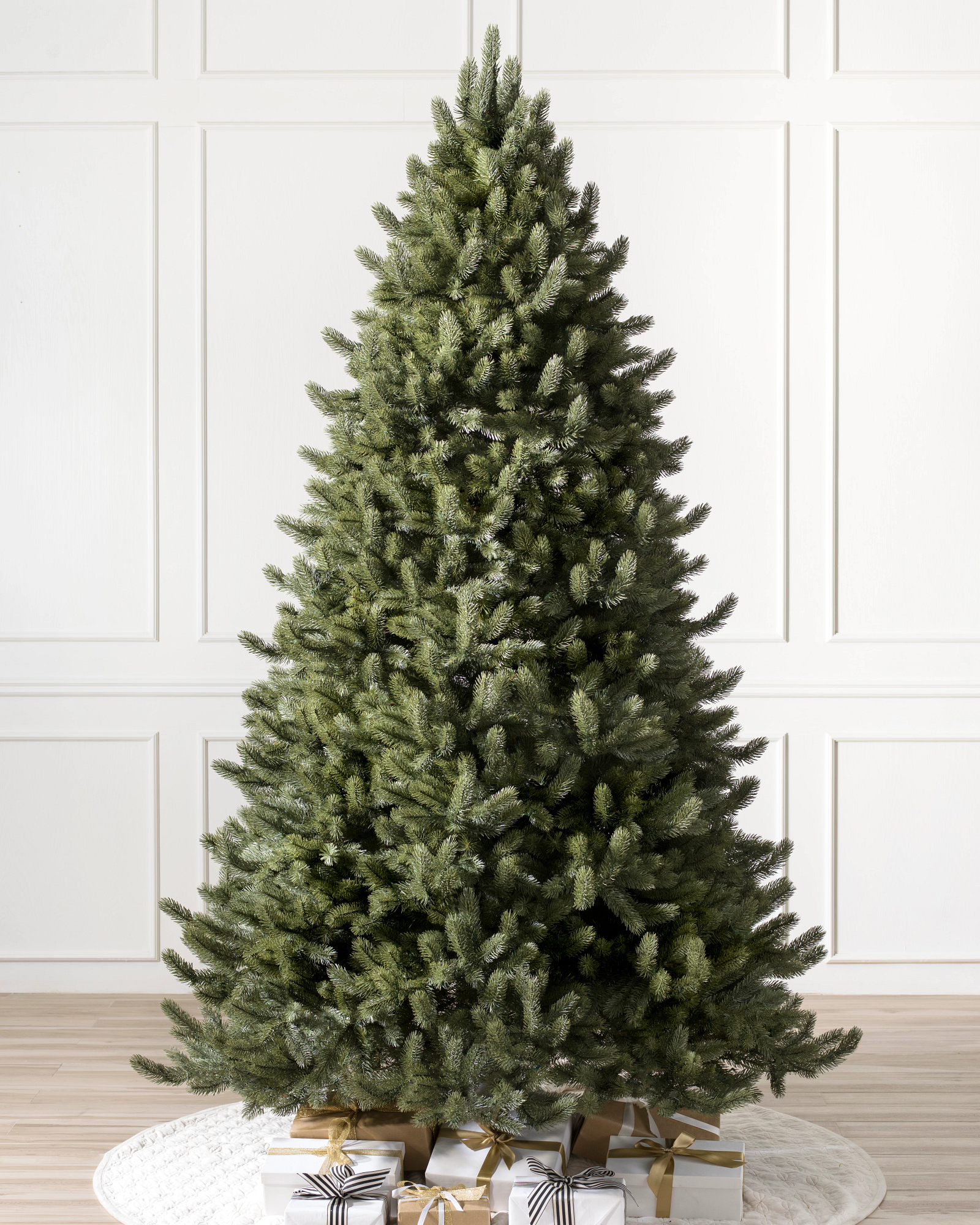 Vermont White Spruce Christmas Trees Balsam Hill