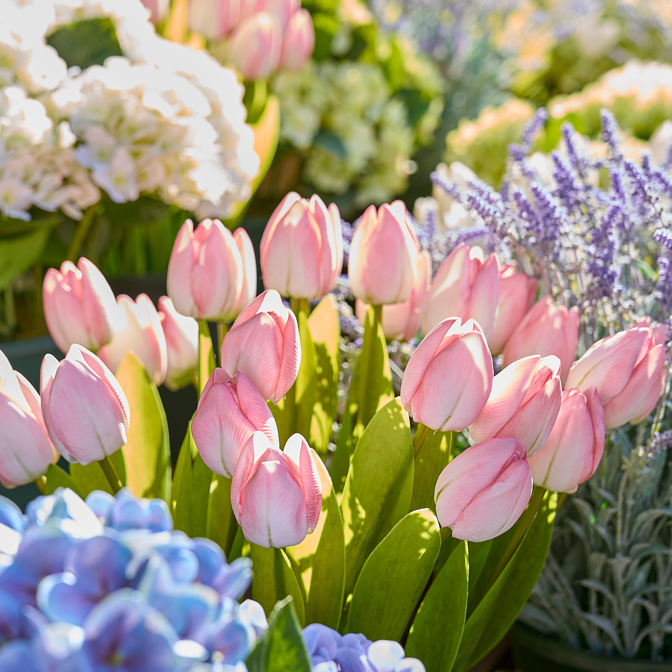 The Flower Shop