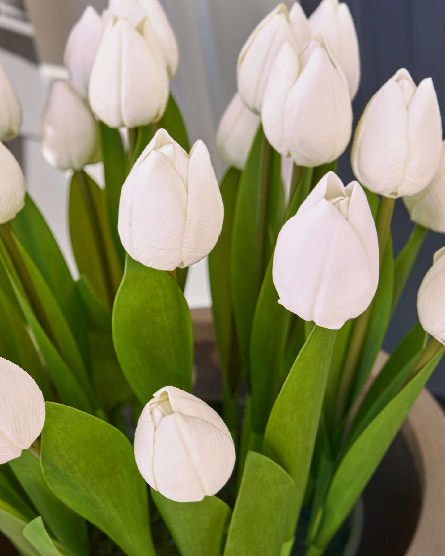 Ivory Outdoor Tulip Garden Pot Filler by Balsam Hill Closeup 20