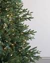 Colorado Mountain Spruce Tree by Balsam Hill Closeup 10