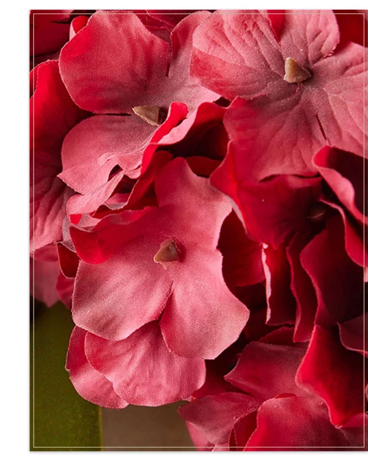 Red Festive Hydrangea Pot Filler