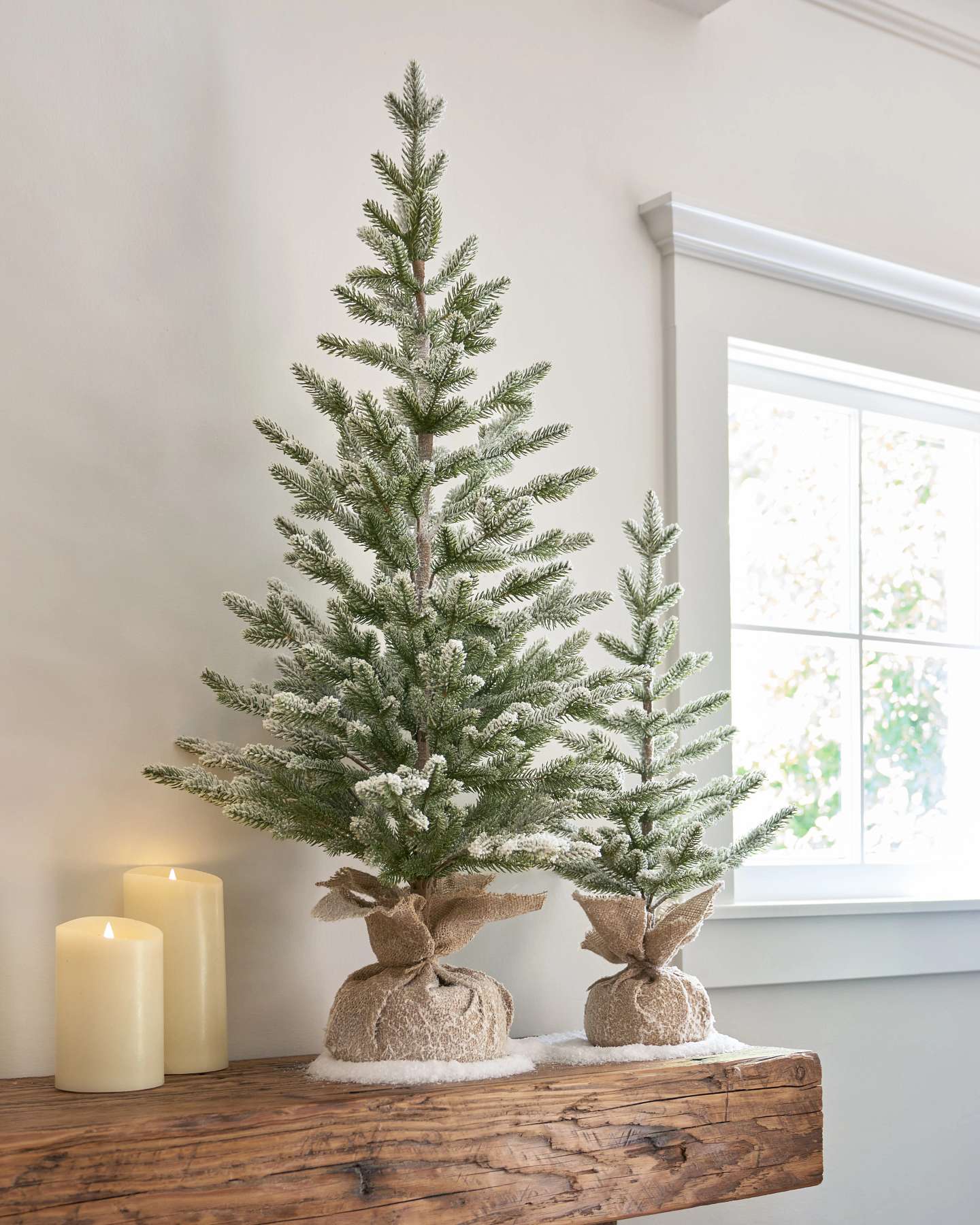 Frosted Tabletop Trees with Burlap Base, Set of 2