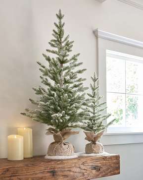 Frosted Tabletop Tree Set with Burlap Base Frosted Tabletop Tree Set with Burlap Base