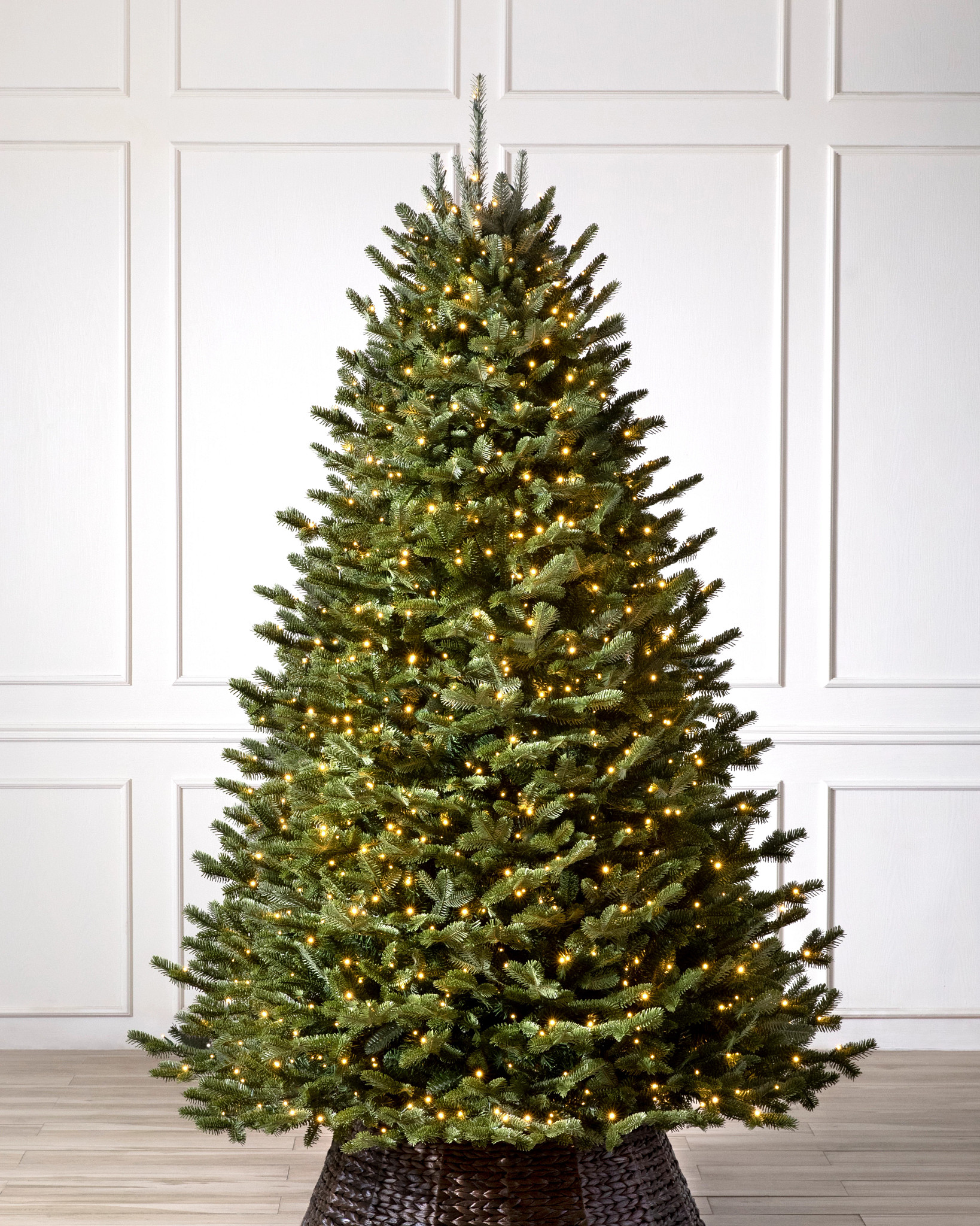 BH Fraser Fir