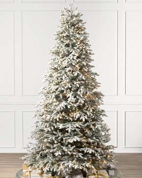 Frosted Fraser Fir Frosted Fraser Fir