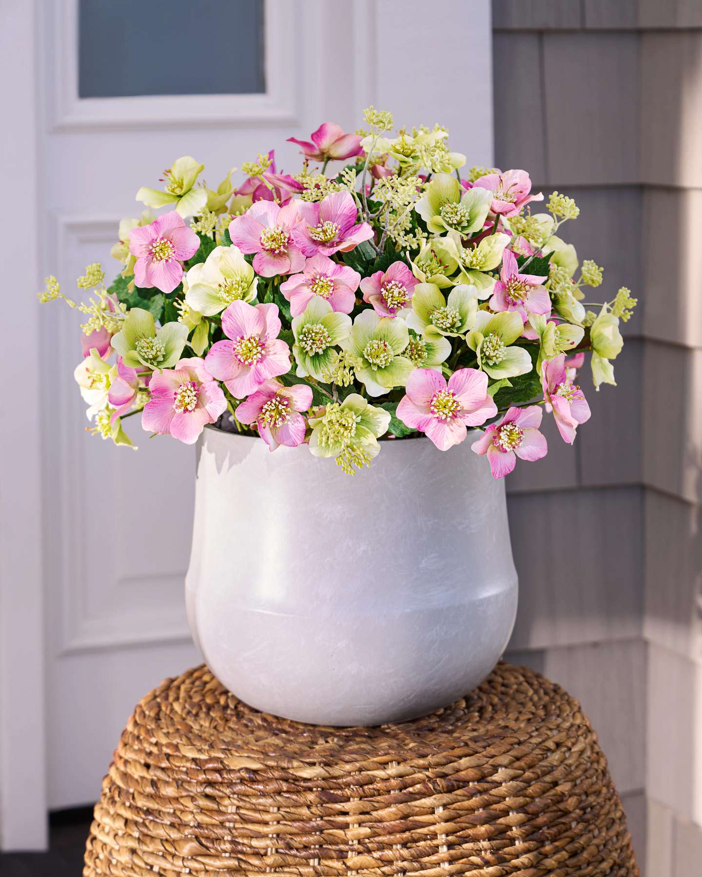 Morning Blossoms Potted Flowers by Balsam Hill SSC 10