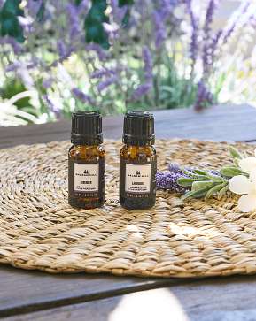 French Lavender Fragrant Favorites Cartridge Set French Lavender Fragrant Favorites Cartridge Set