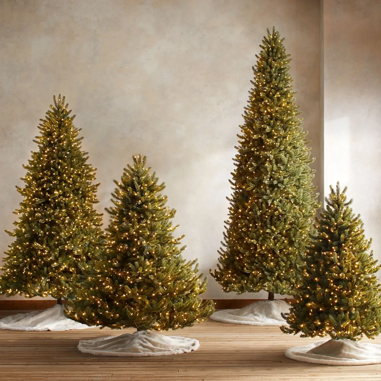 Shop Bestselling Trees