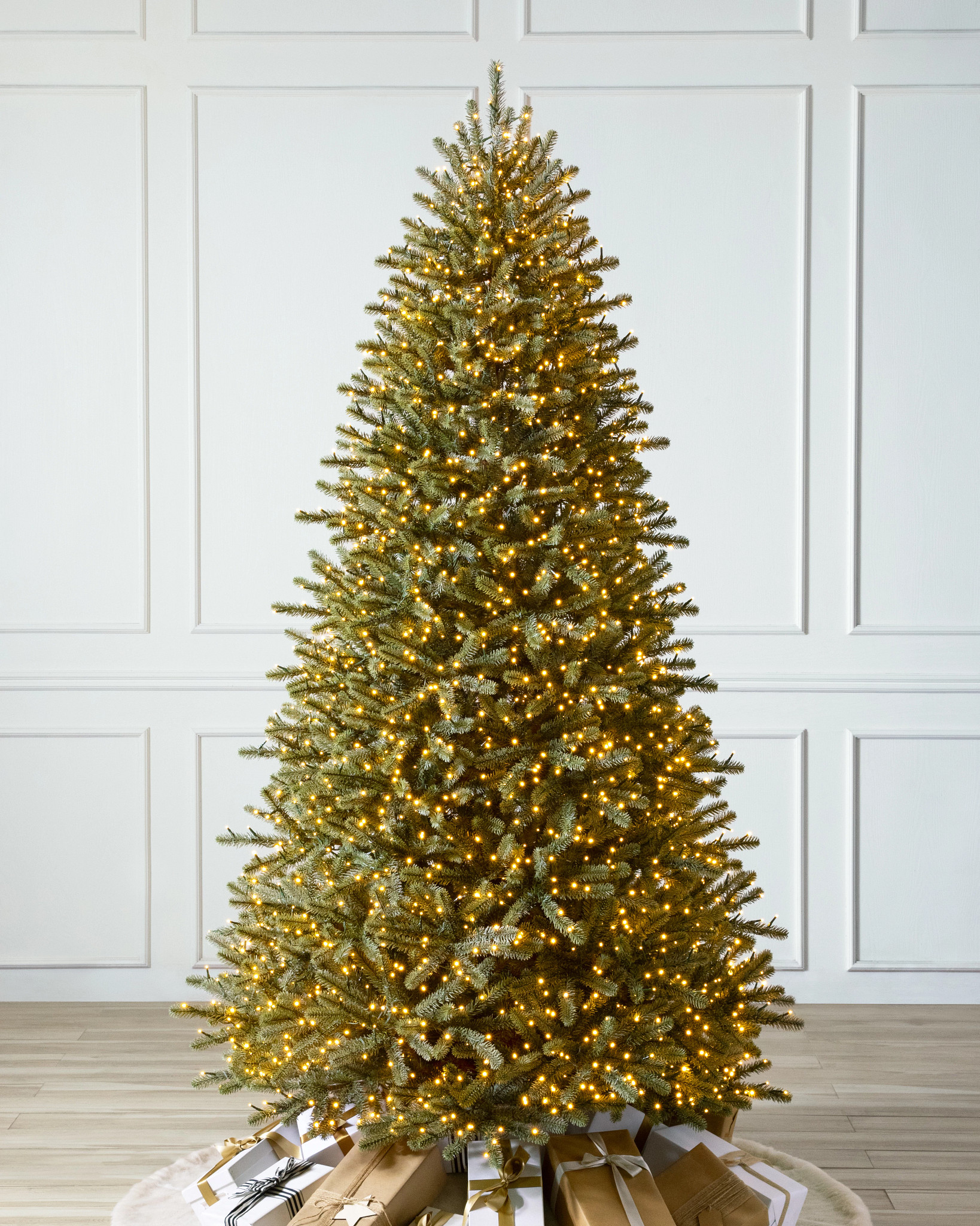 Royal Blue Spruce