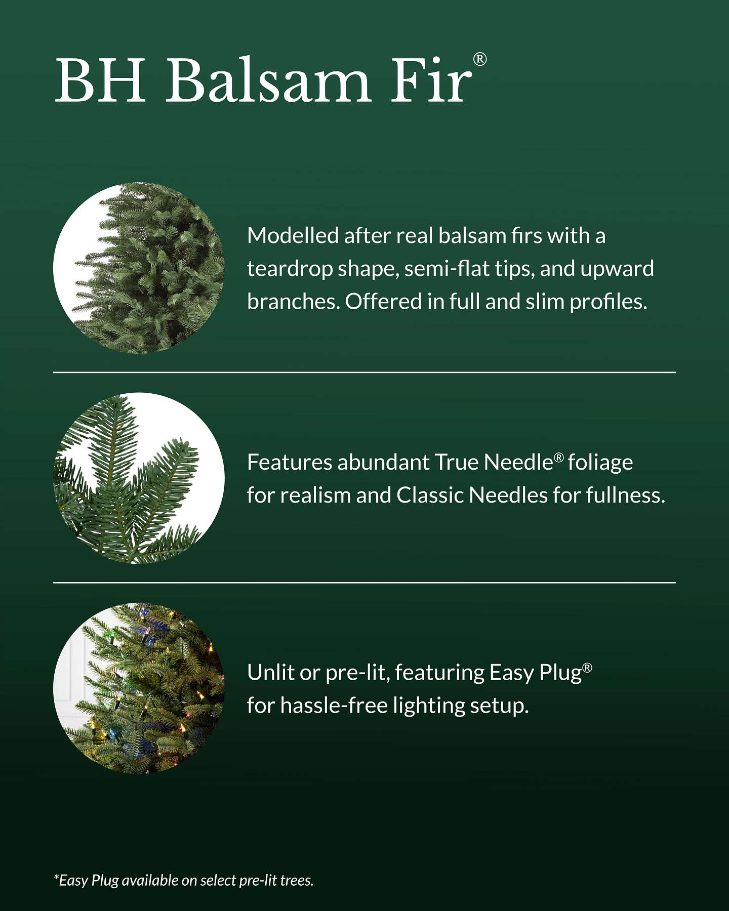 Sapin baumier de 5,5 pi