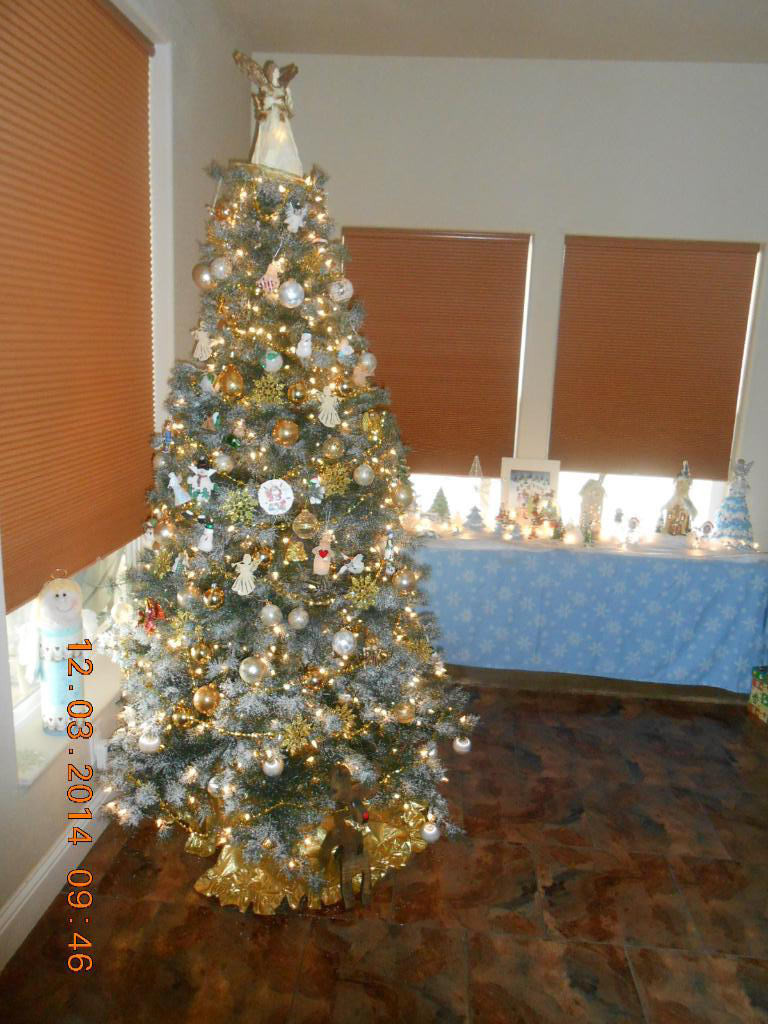 Frosted Sugar Pine Christmas Trees | Balsam Hill