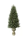 Colorado Mountain Spruce Potted by Balsam Hill SSC 10
