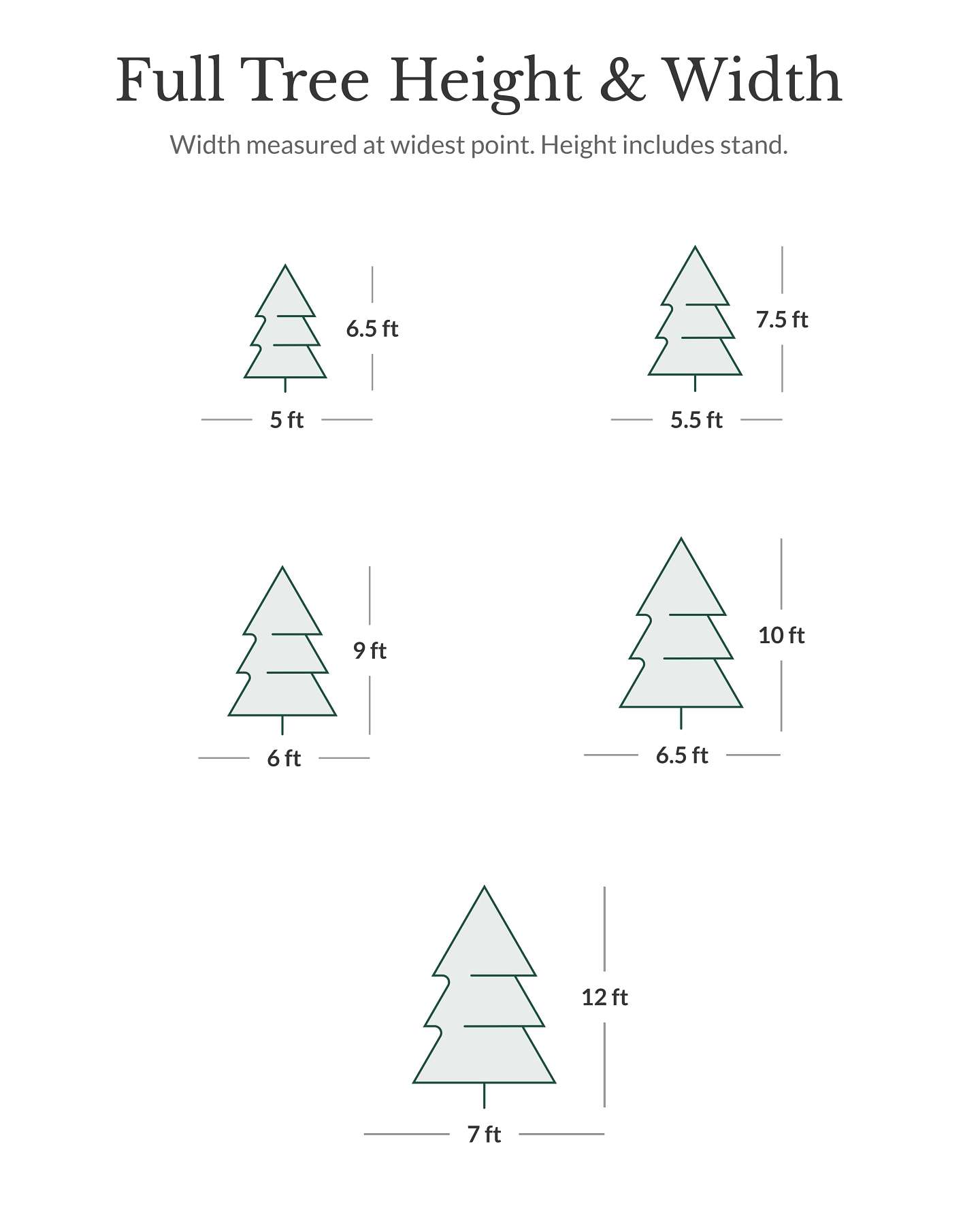 Épinette Vermont White Spruce® de 6,5 pi