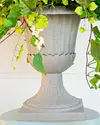 Rolling Hills Potted Foliage with Urn by Balsam Hill Closeup
