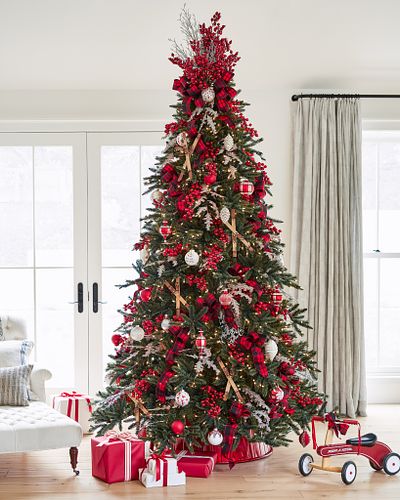 California Baby Redwood Christmas Tree | Balsam Hill