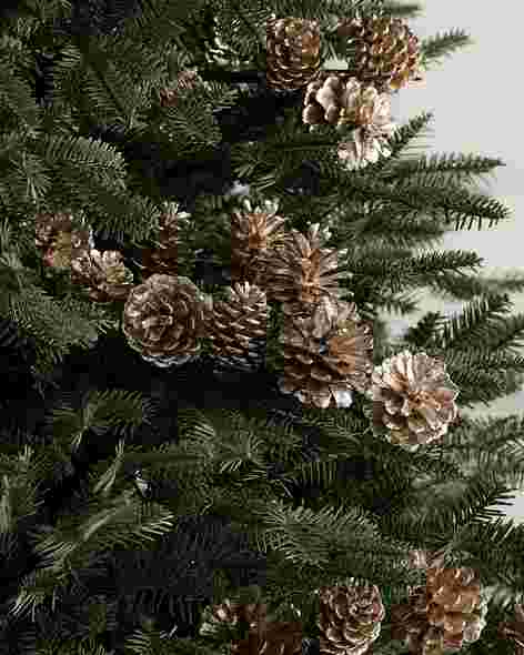 Champagne Pinecone Picks Set of 12 by Balsam Hill SSC