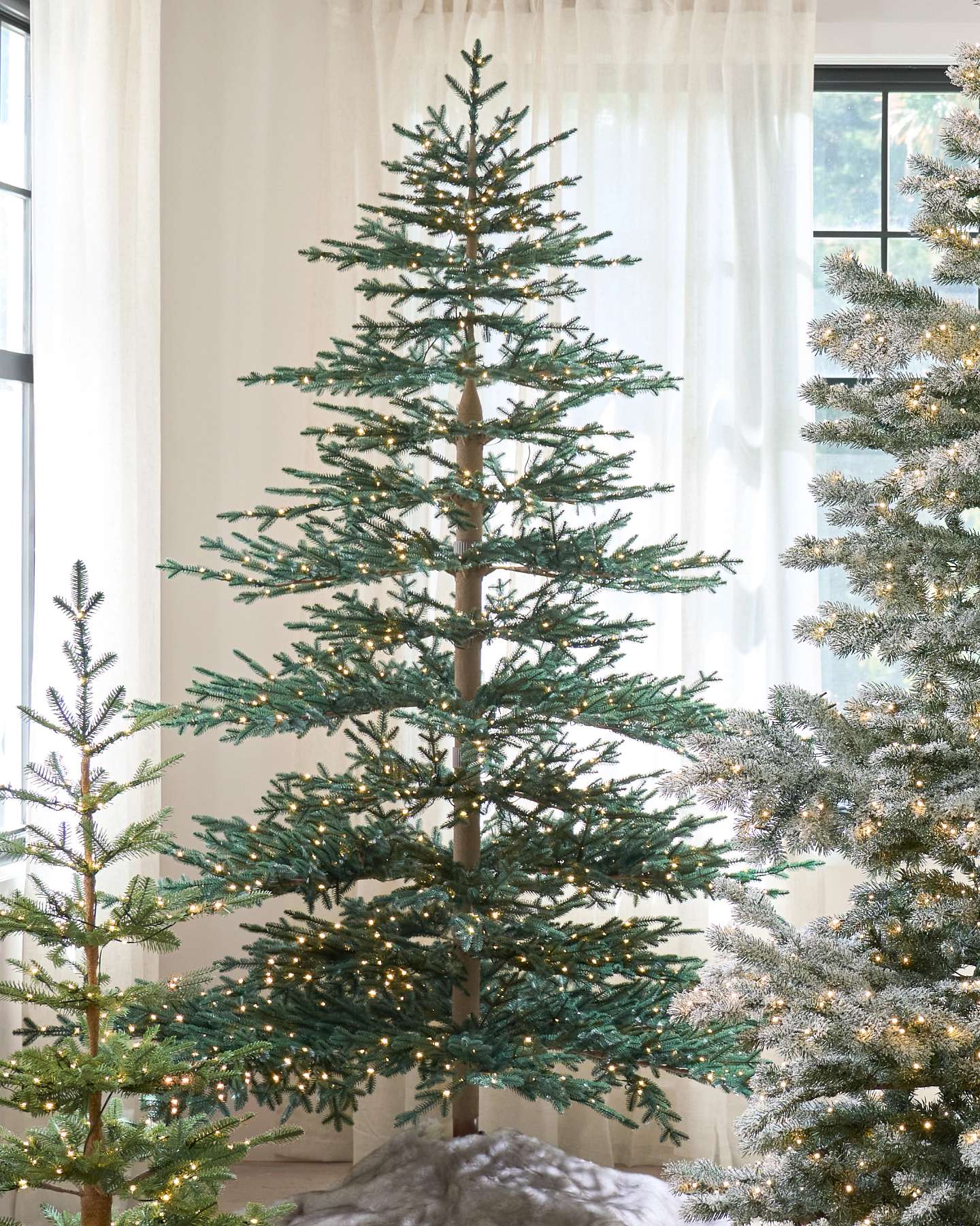 Balsam Hill Bio Aspen Silver Fir Artificial Christmas Tree Lifestyle Display with Other Christmas Trees