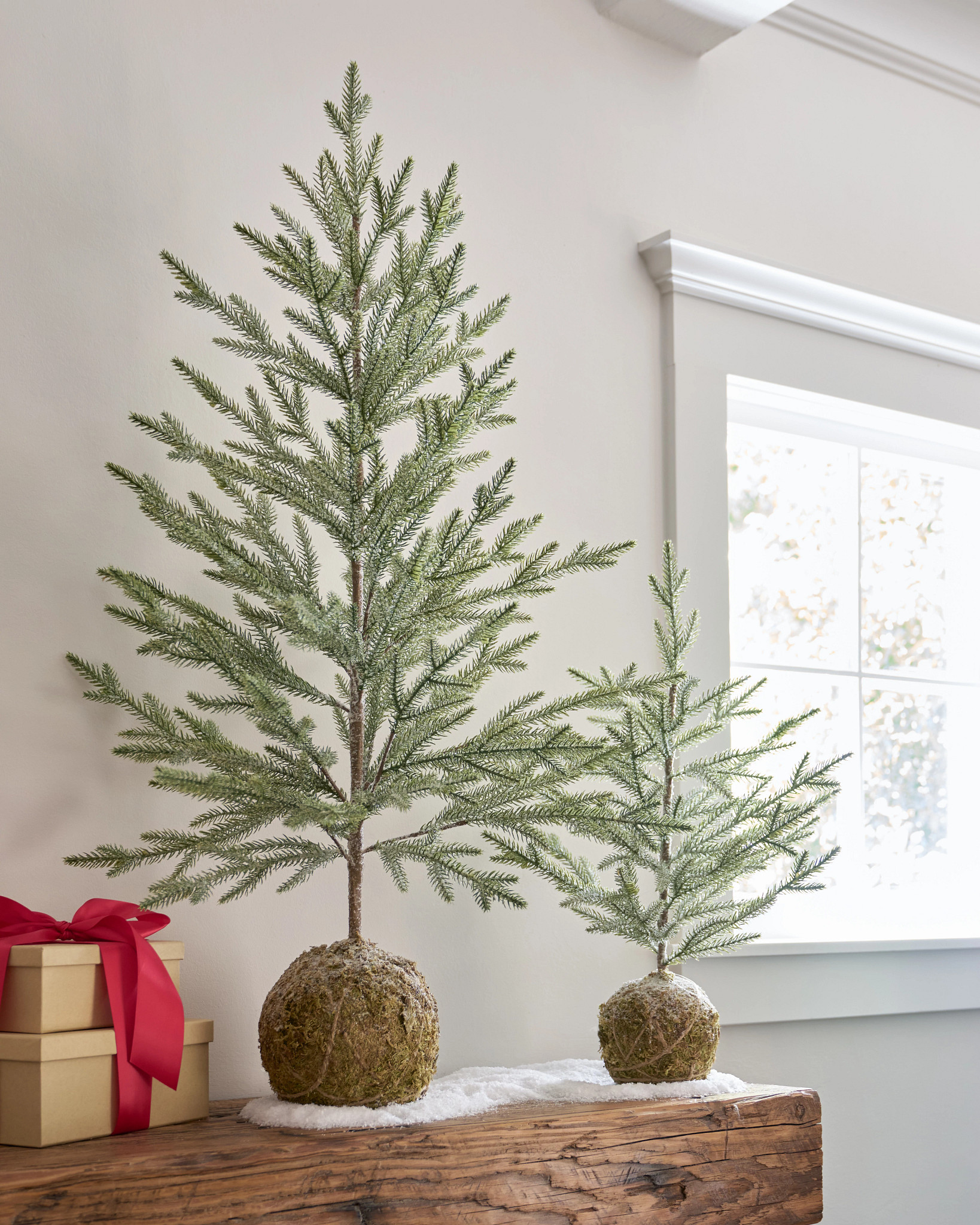 Tabletop Pine Tree Set with Moss Base