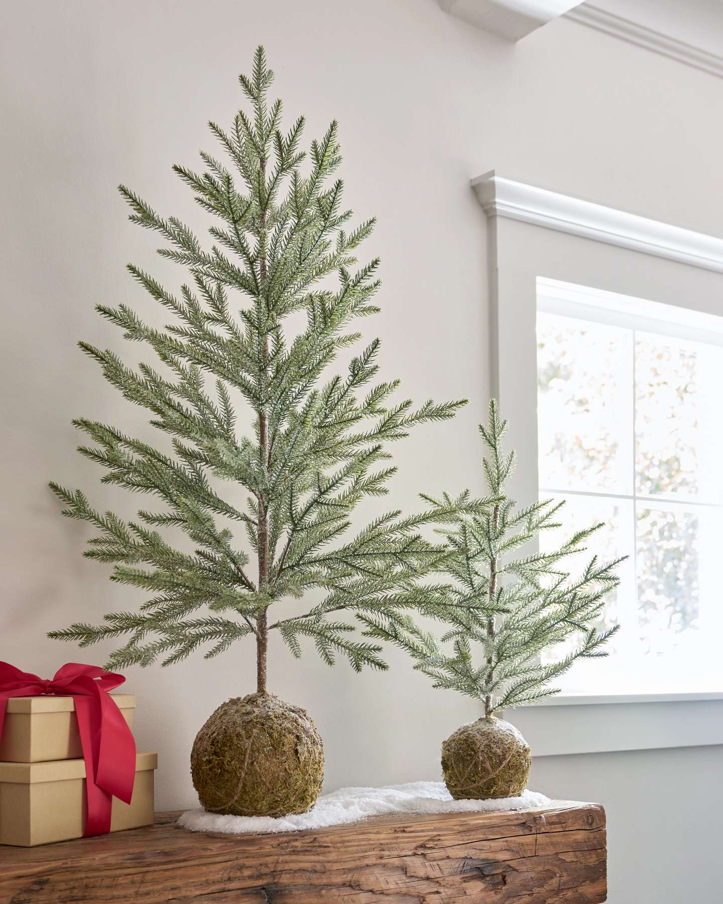 Tabletop Pine Trees with Moss Base, Set of 2