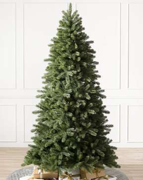Woodland Spruce Woodland Spruce