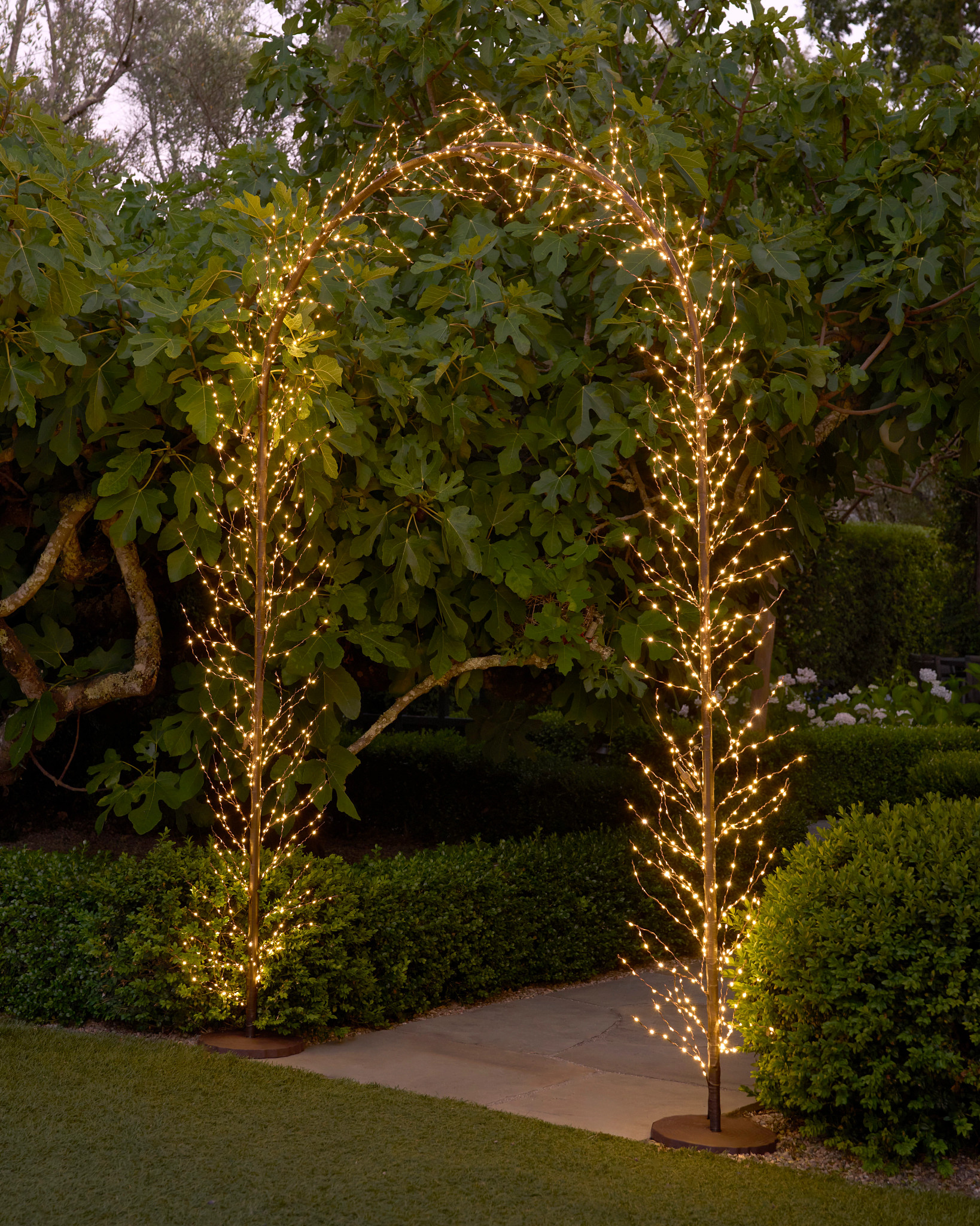 Warm White Cluster Micro LED Arch