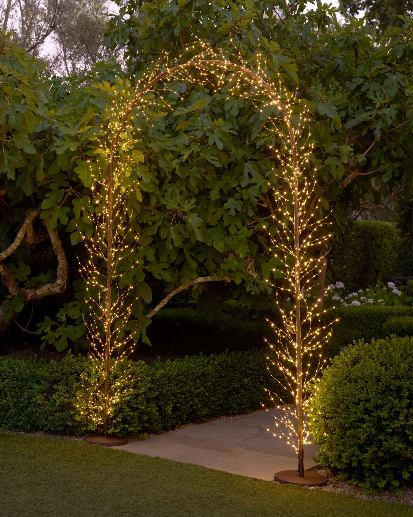 8' Warm White Cluster Micro LED Arch
