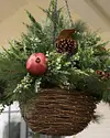 LED Mixed Pine Hanging Basket by Balsam Hill Lifestyle 20