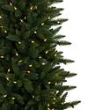 Highland Estate Potted Spruce Tree by Balsam Hill Closeup 10