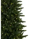 Highland Estate Potted Spruce Tree by Balsam Hill Closeup 10