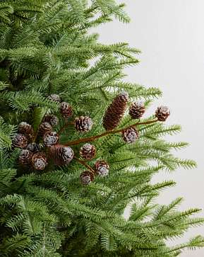 Icy Sparkle Pinecone Pick Set Icy Sparkle Pinecone Pick Set