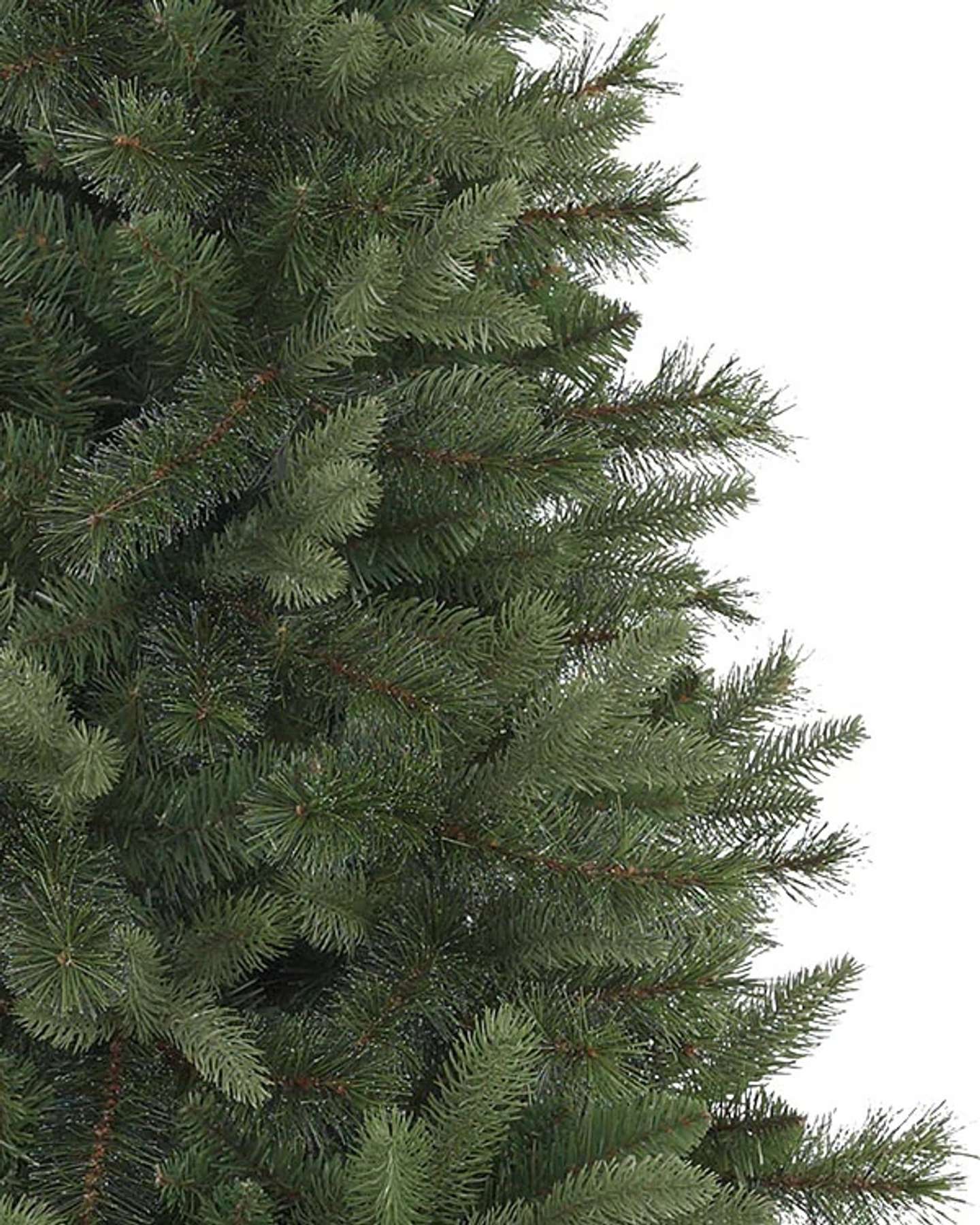 Branch Samples, Set of 16