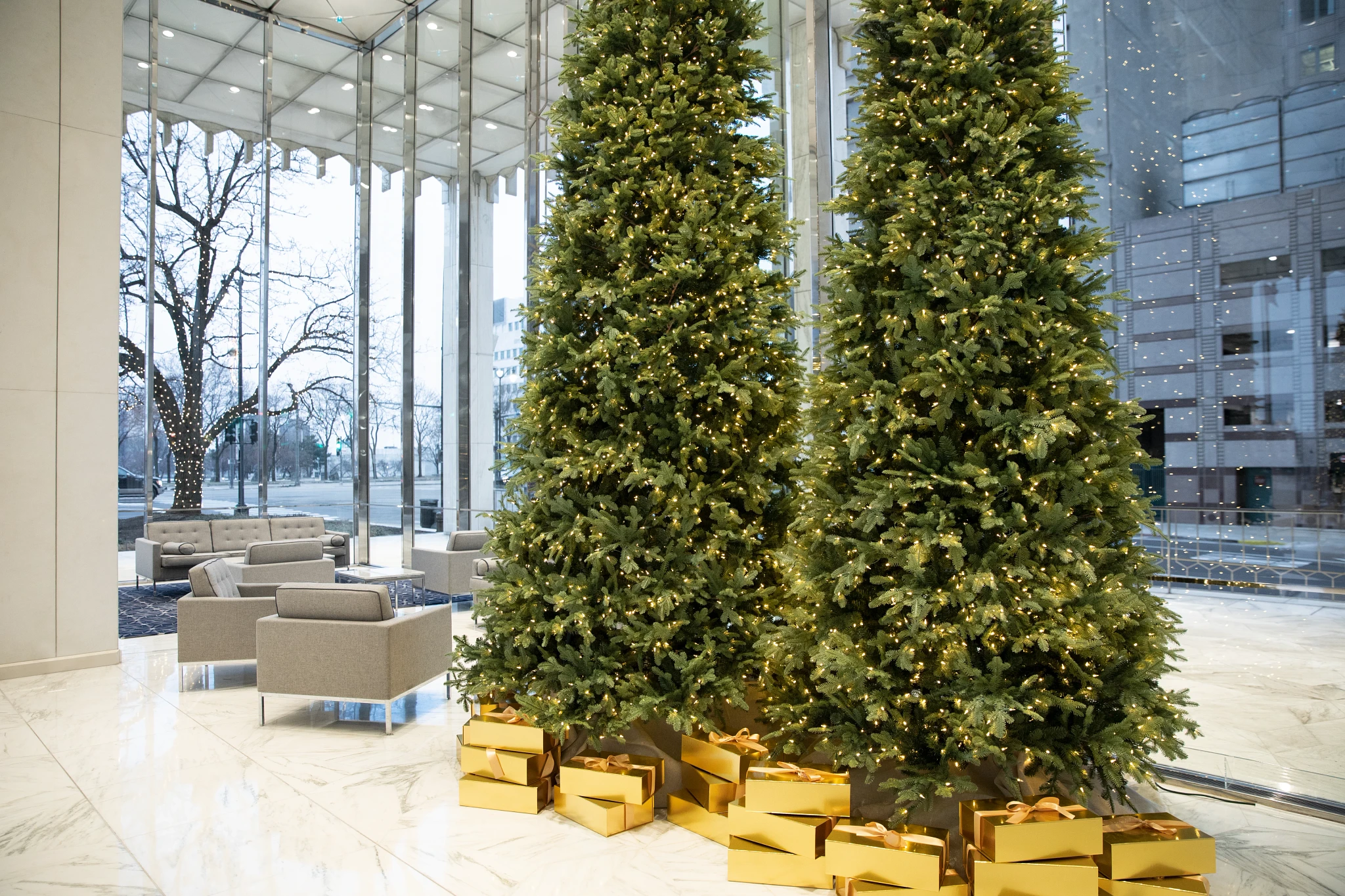 Lit Christmas trees in a lobby next to glass windows