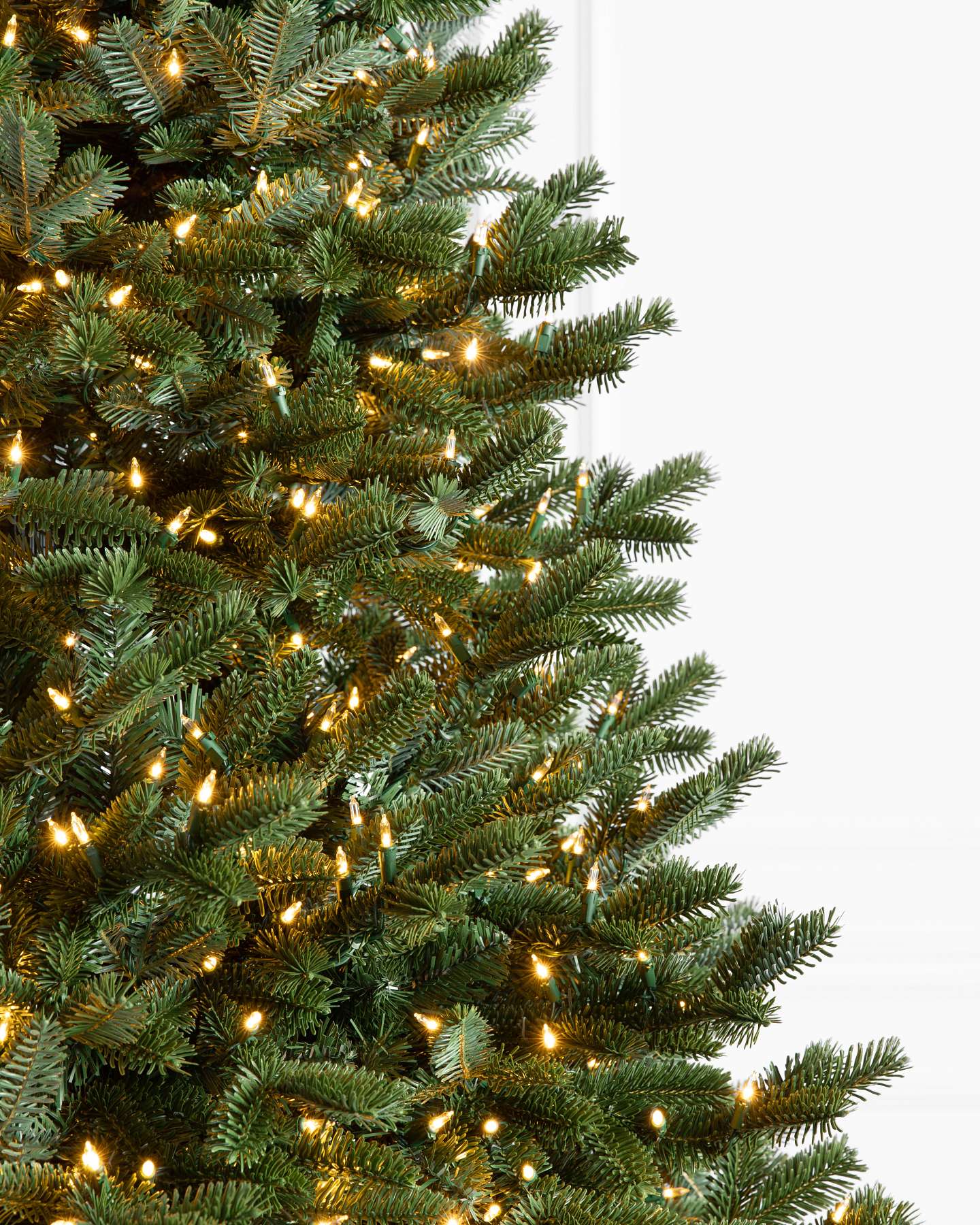 BH Fraser Fir LEDCL by Balsam Hill Closeup 10