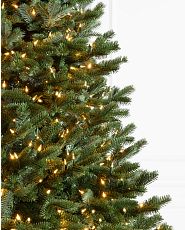 Nahaufnahme eines Weihnachtsbaums mit LED-Lichtern