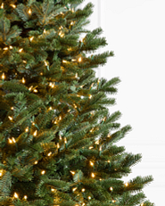 Clear LED lights on Christmas tree