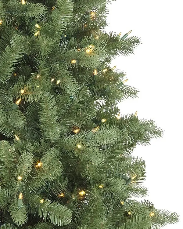 Bellevue Spruce