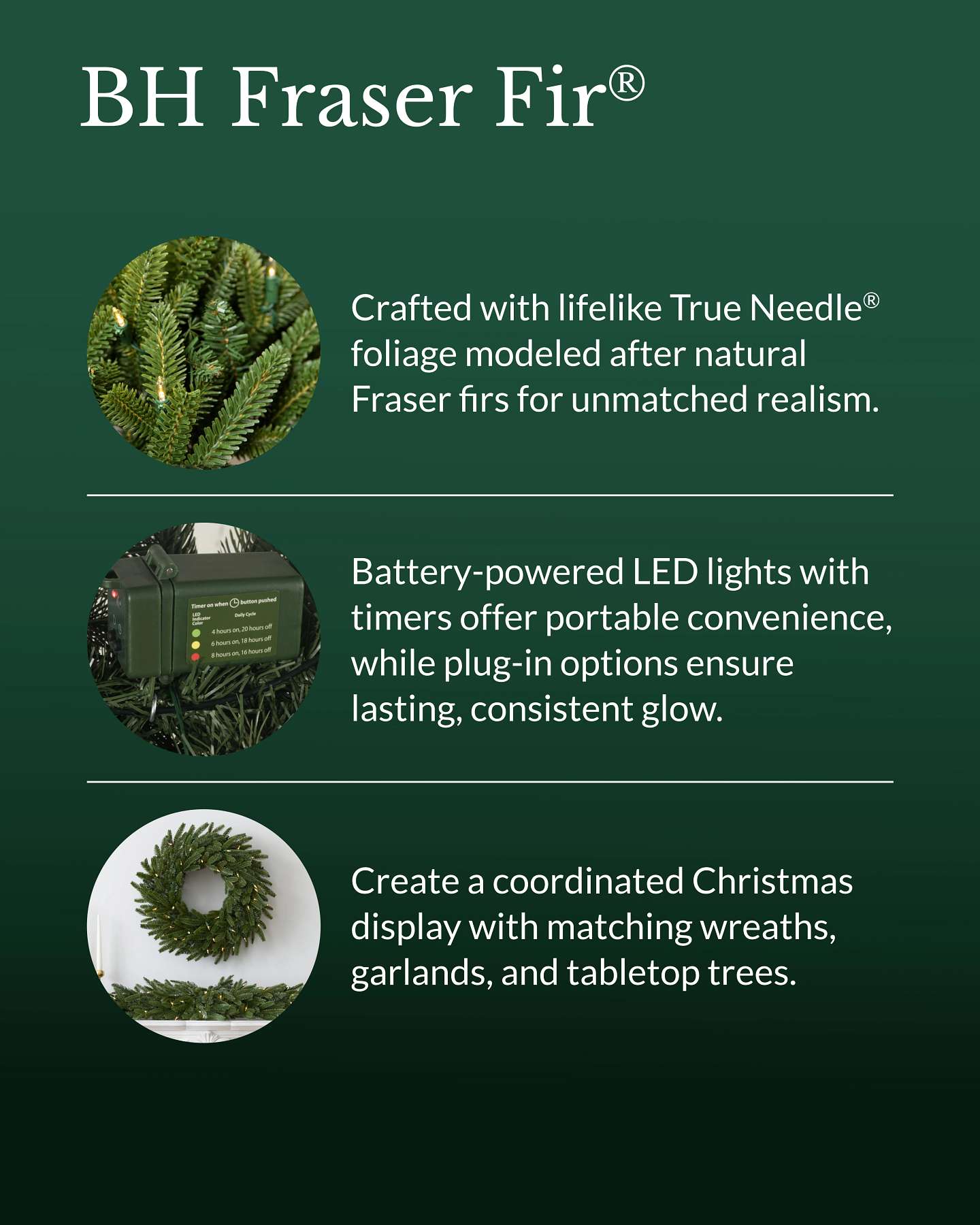 BH Fraser Fir Garland
