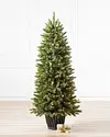 Rutherford Fir Potted Tree by Balsam Hill SSC 10