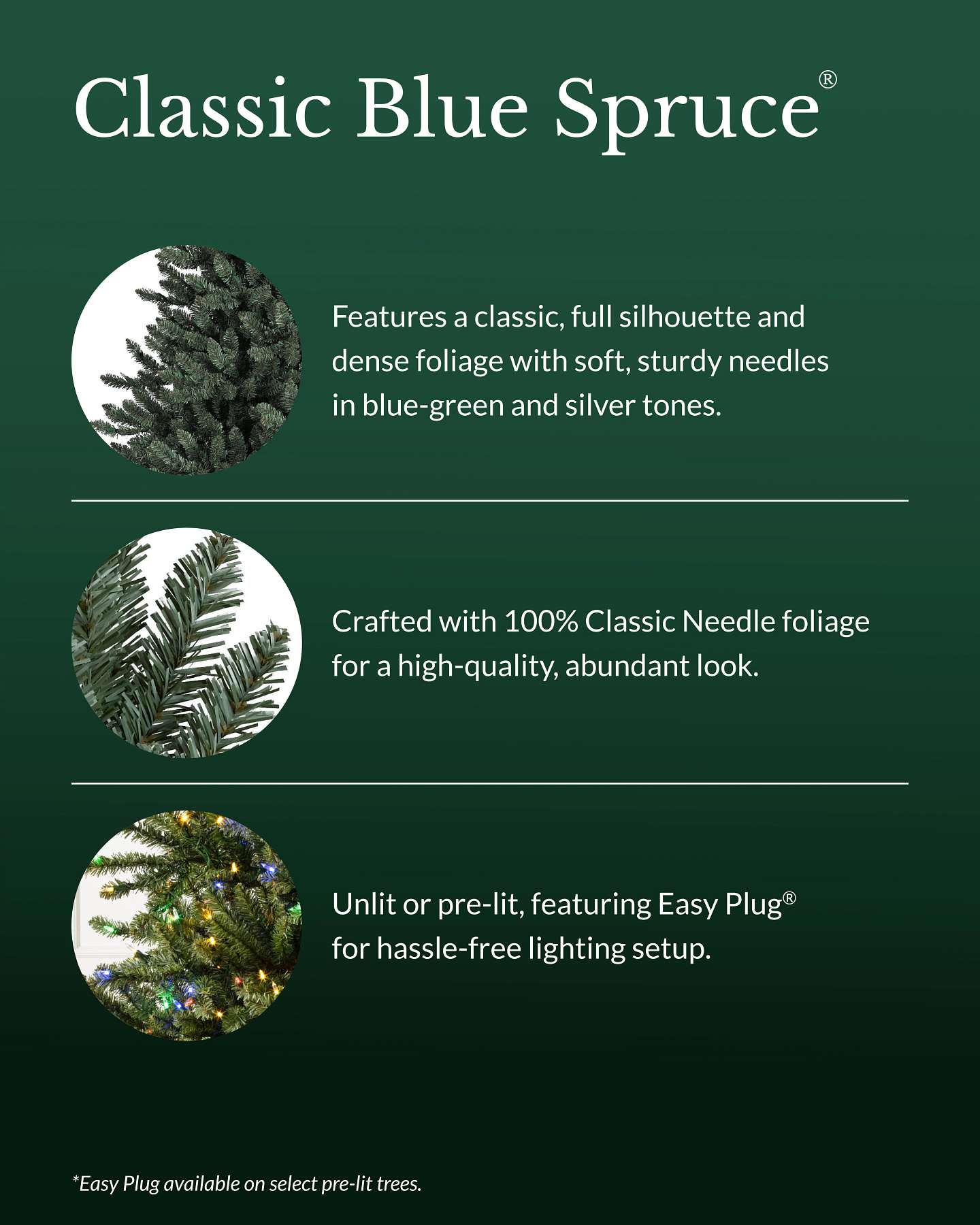 Épinette du Colorado classique de 6,5 pi