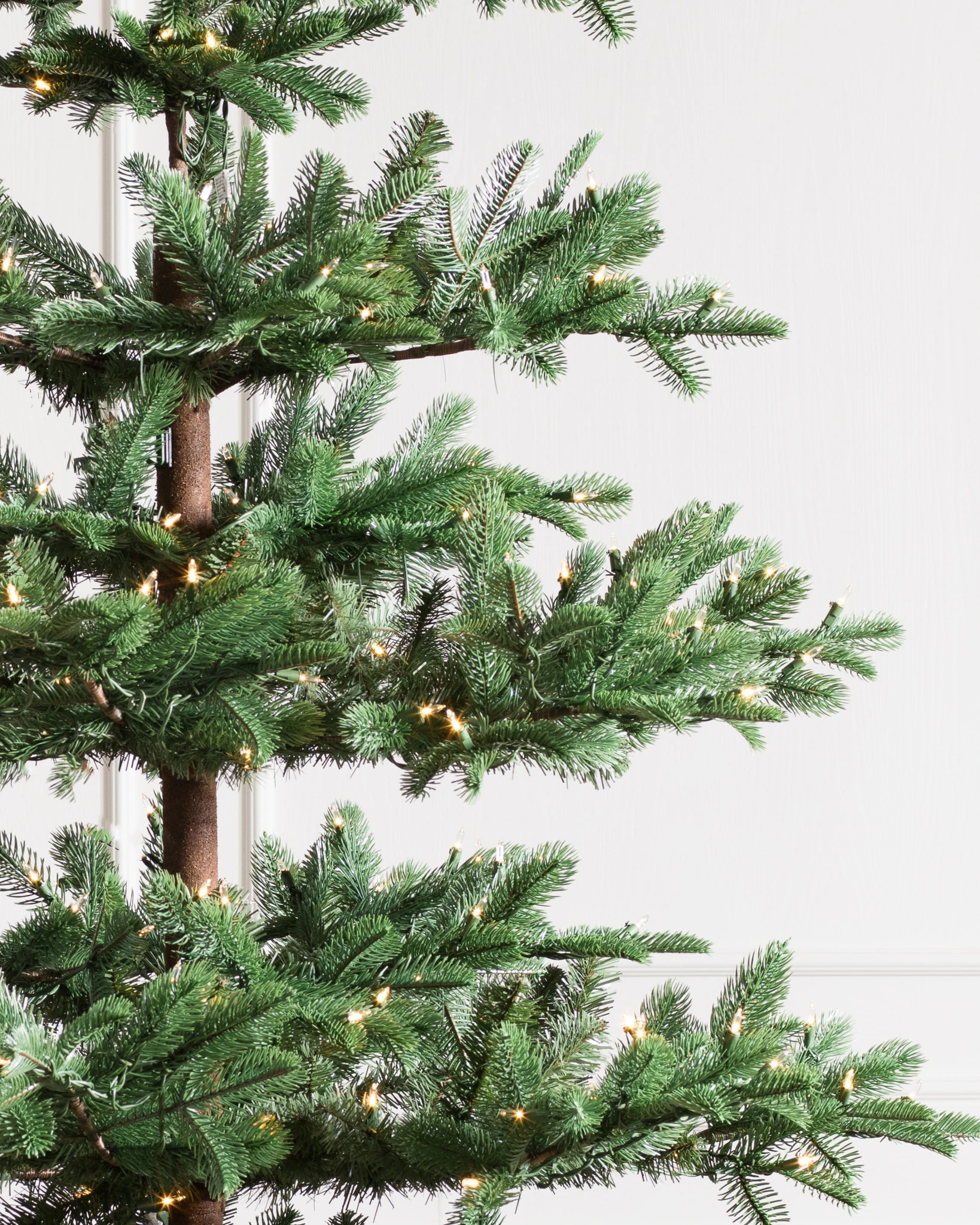 Mountain Fir