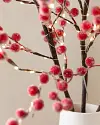 Lit Sugared Red Berry Branches by Balsam Hill Closeup 20